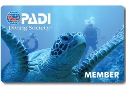 --Society-Card-_.jpg.webp