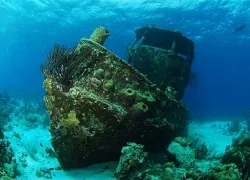 -Curacao-_.jpg.webp