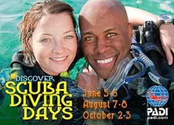-DSD-Days-Web-Banner_x.jpg.webp