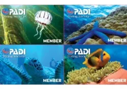 -Final_PDS-Member-Cards_.jpg.webp
