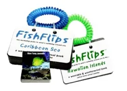 -FishFlips-_.jpg.webp