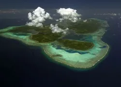 -MantaRayClueLP_.jpg.webp