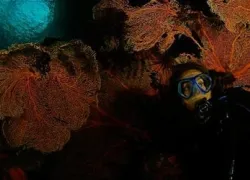 -MilneBay_xf_.jpg.webp
