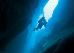-Monster-in-the-Hole-_.jpg.webp