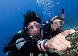-Northwest-DiveShow.jpg.webp