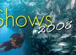 -PADI-shows.jpg_.jpg.webp