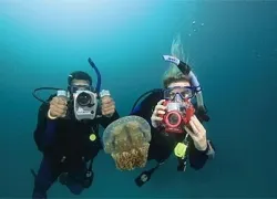 -PADI_Digital_Underwater_Photographer_Specialty_-_.jpg.webp