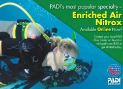 -PadiCourse_.jpg.webp