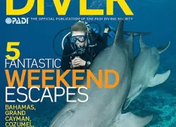 -SportDiver_Maycover-_.jpg.webp