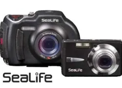 -sealife-_.jpg.webp