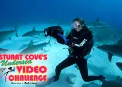 -stuart-cove-_.jpg.webp