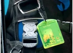 -subccard_.jpg.webp
