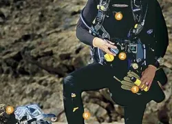 -Temperate_Diver_.jpg.webp