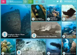 -bermuda-topunderwater.png.webp