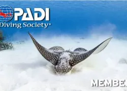 societycard_dgreenwood.jpg.webp