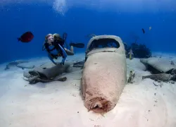 _underwaterhollywood.jpg.webp