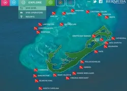 -bermuda-divesites.jpg.webp
