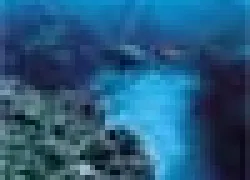 ___.jpg.webp