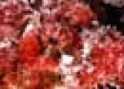 ___.jpg.webp