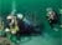 ___.jpg.webp