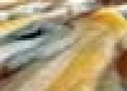 ___.jpg.webp