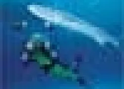 ___.jpg.webp