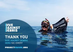 dt_dive_against_debris_nicemery.jpg.webp