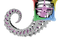 Aoftails.jpg.webp