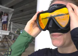 Best_Scuba_Masks_Reviewed.jpg.webp