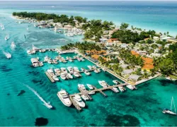 Bimini Big Game Club Resort and Marina.jpg.webp