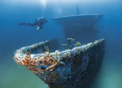 CandiceLandau_Atlantis-_edit_.jpg.webp