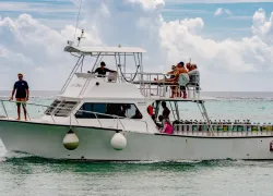 Clearly Cayman Widescreen.png.webp