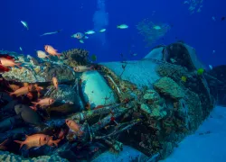 Corsair wreck .jpg.webp