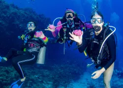 Divetech_Widescreen Image.png.webp