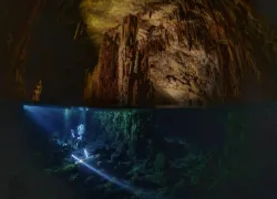 Elephant CAve_TOBIAS_FRIEDRICH___I.jpg.webp