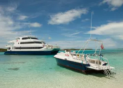Exterior with Sea Dog   .jpg.webp
