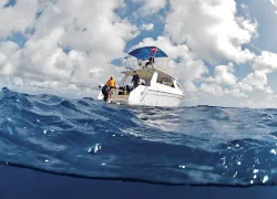 Guanahani-Dive-Boat-P_edit.jpg.webp