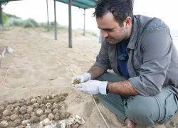 Healthy-Hatchlings-Project-_BatchA_-.jpg.webp