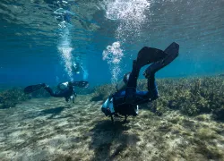 KPaterakis_Fins-.jpg.webp
