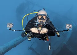 Kittiwake-Landau-_edit_cx.jpg.webp