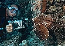 Konaclassic_.jpg.webp
