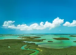 MCT LK Aerial Marvin Key D.jpg.webp