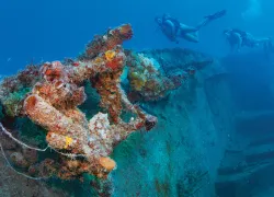 MCTDC_Wreck_Header Image.png.webp