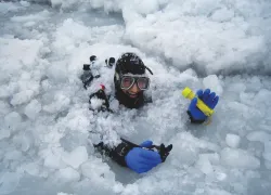 NealSlushGneissPtClear.jpg.webp