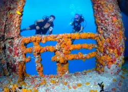 New Image_MC-KW Dive Vandenbergh Wreck D_x.jpg.webp