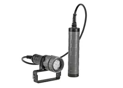 SPD_CathX_Light.jpg.webp