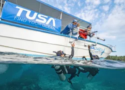 TUSA_Stills_JPG-.jpg.webp