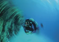 Vertigo_edit.jpg.webp