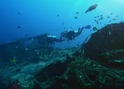 Wreck .jpg.webp