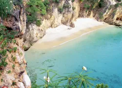 anguilla.jpg.webp